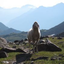 Stubaital