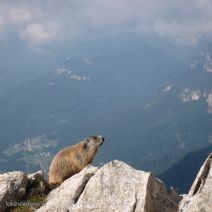 Klettersteigwoche