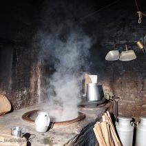 Cheesefactory