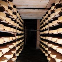 Cheesefactory