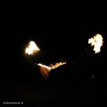 Feuer im Wald mit Gé