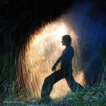 Feuer im Wald mit Gé