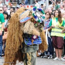 Parade der Kulturen
